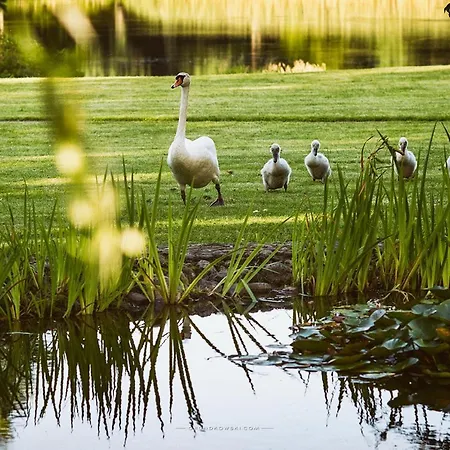 Bursztynowy Palac Otel Koszalin