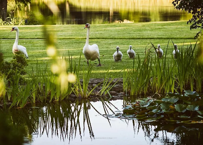 Bursztynowy Palac Hotel Koszalin