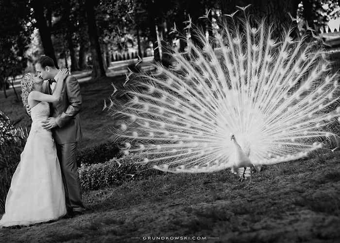 Bursztynowy Palac 4* Koszalin